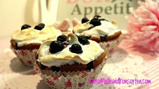 Blueberrymuffin I OK