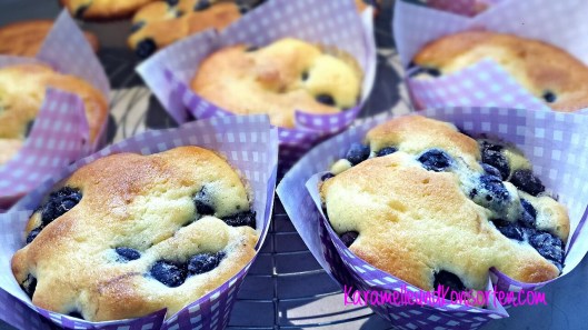 Blueberrymuffin IV OK