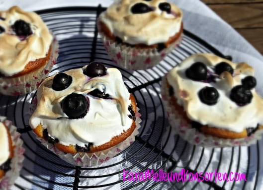 Blueberrymuffin V OK