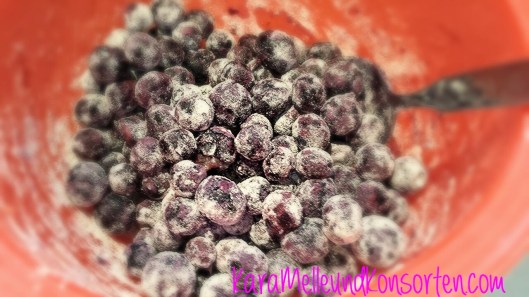 Blueberrymufin Schüssel OK