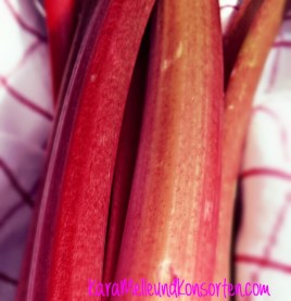 Erdbeer-Rhab.-Konfitüre IV OK